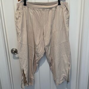 Anthropologie Beige Ankle Pants with Zipper Detail Size 1X